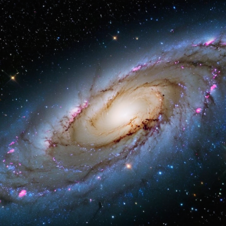 Milky Way's dense galactic core