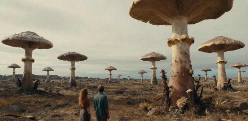 Giant Fungi